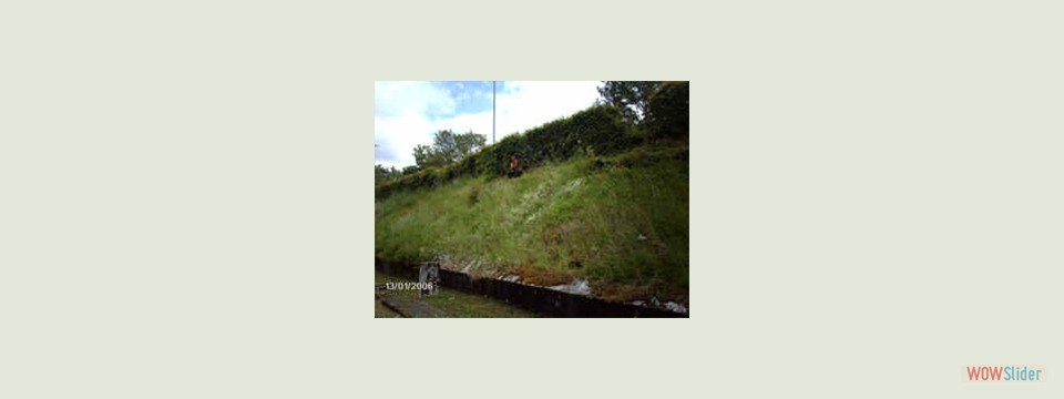 Schweizer_Gebiet_vorher