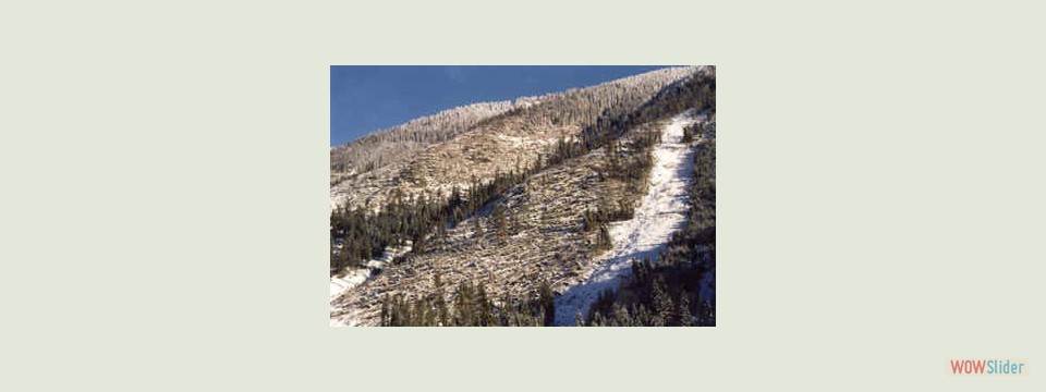 Sturmschaeden_in_Schladming