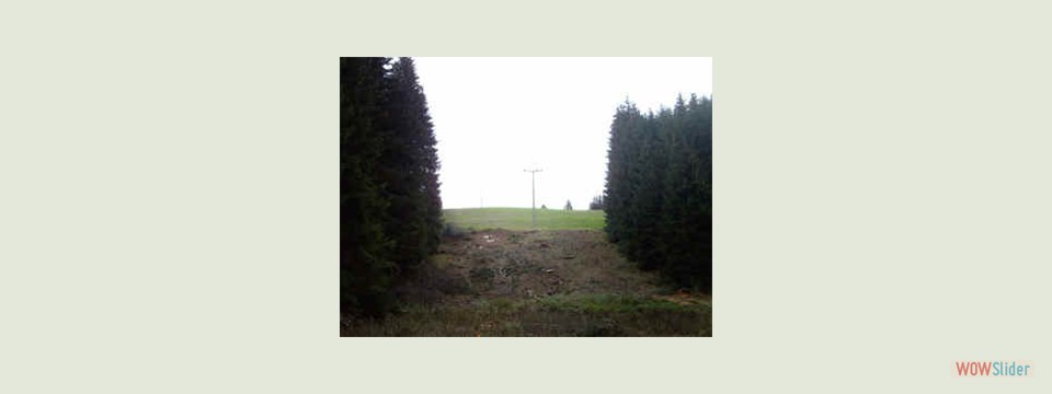 Trassenpflege_nachher