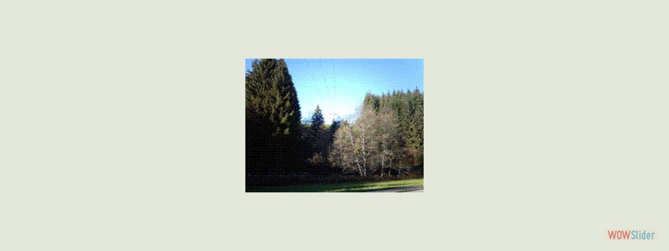 vorher_nachher