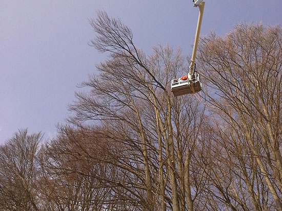 Winterhalder Forstarbeiten 2