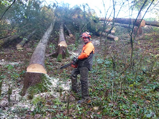 Winterhalder Forstarbeiten 1
